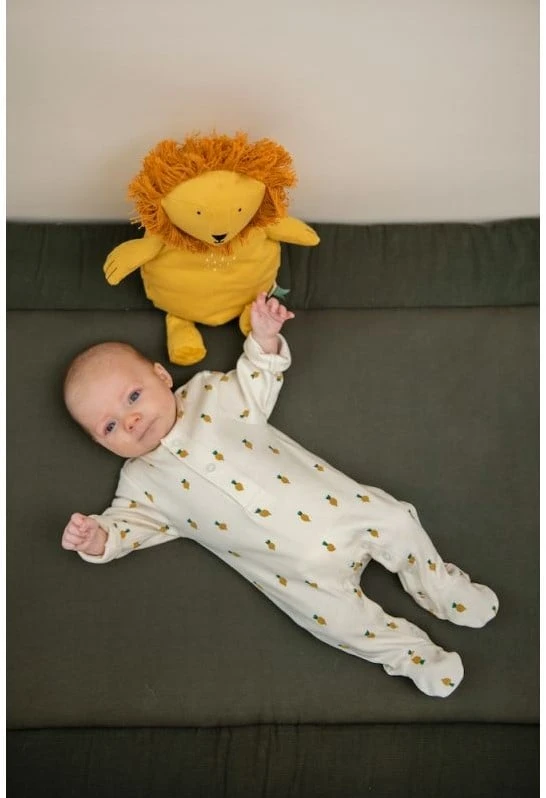 Trixie Plüschtier Klein - Mr. Lion 6 Trixie Plüschtier Klein - Mr. Lion – Bild 6