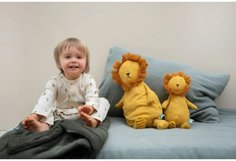 Trixie Plüschtier Klein - Mr. Lion 9 Trixie Plüschtier Klein - Mr. Lion – Bild 9