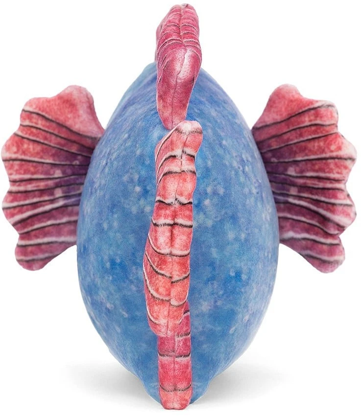 Jellycat Fischlein Blau - 13x16cm 3 Jellycat Fischlein Blau - 13x16cm – Bild 3