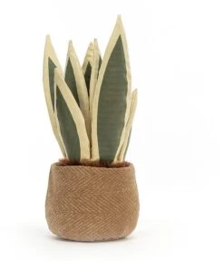 Jellycat Kuschel Amuseable Schlangenpflanze - 38cm -Plüschtierladen jellycat kuschel amuseable schlangenpflanze 38cm 3