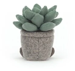 Jellycat Silly Sukkulente Kuscheltier Veterinärpflanze Azulita - 16 Cm -Plüschtierladen jellycat silly sukkulente kuscheltier veterinaerpflanze azulita 16 cm 3