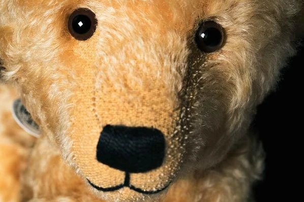 Steiff Teddybär 1910 Replica 3 Steiff Teddybär 1910 Replica – Bild 3