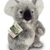 Teddy Hermann 91424 Koalabär 21 Cm, Kuscheltier, Plüschtier, Sonderedition Teddy Hermann Erklärt